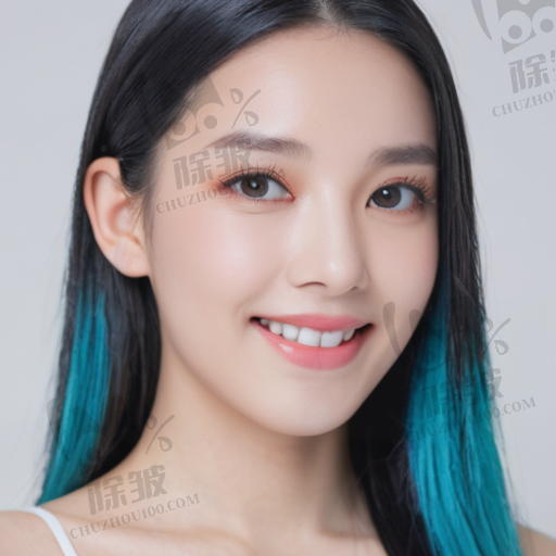 不同项目的收费价格范围