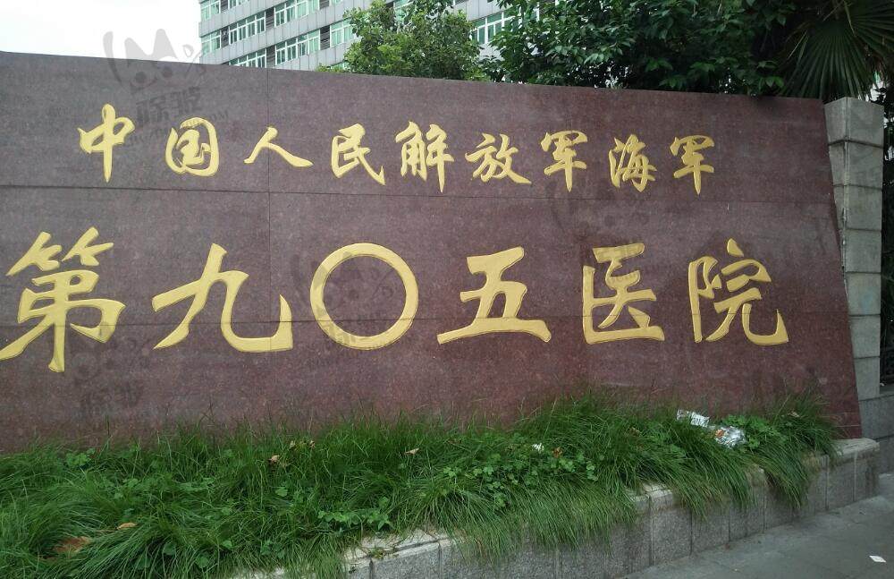 中国人民解放军第八五医院(整形外科)