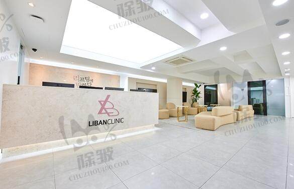 韩国俪伴整形外科 (Liban Clinic)