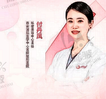付丹凤