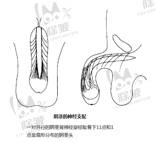 北京王阔远医生患者治疗实录