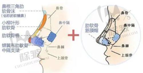宁波奉化珐丽医疗美容门诊部特色项目及技术优势