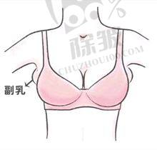哈医 大二院美容科骨干医生技术特点
