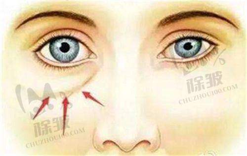 上海今识医疗的项目价格是否合理