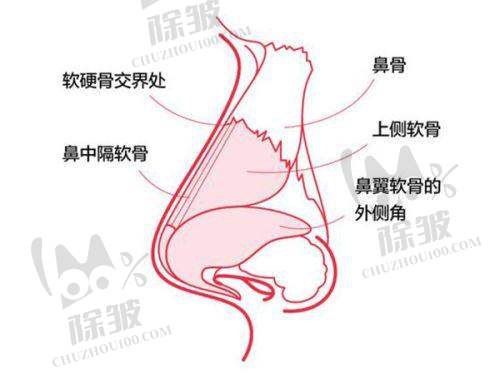 何照华医生的执业资质详情