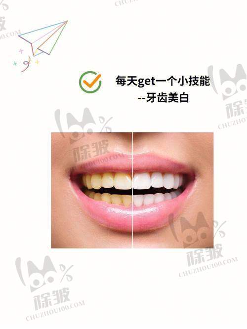 温州医 科 大学附属第一医院口腔科医生团队实力强大及骨干医生简介