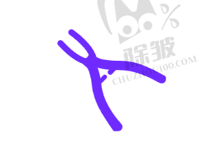 西安各个医院牙科项目价格详情