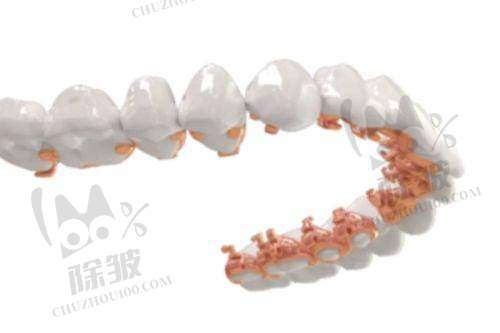 上海中喜元富口腔门诊部收费价格表/收费标准