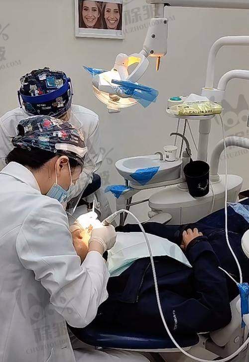 上海新迈口腔门诊部收费价格表/收费标准