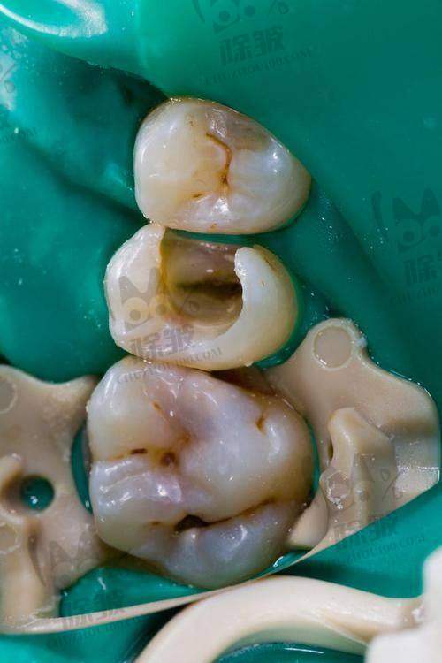 上海松丰口腔悦康门诊部(爱琴海店)医生团队实力强大及骨干医生简介