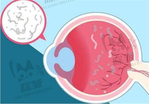 上海艾嘉瞳心眼科门诊部费用与服务质量的关系