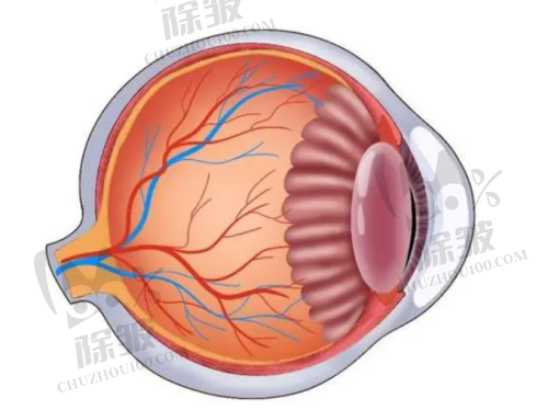 上海医大医院眼科手术医生团队实力
