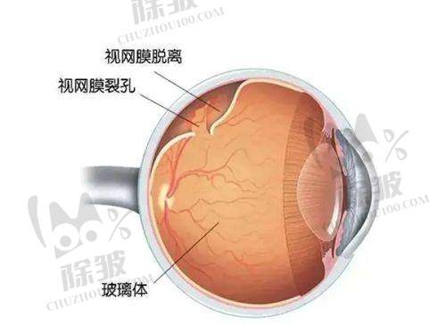 上海艾嘉瞳心眼科门诊部费用合理性分析